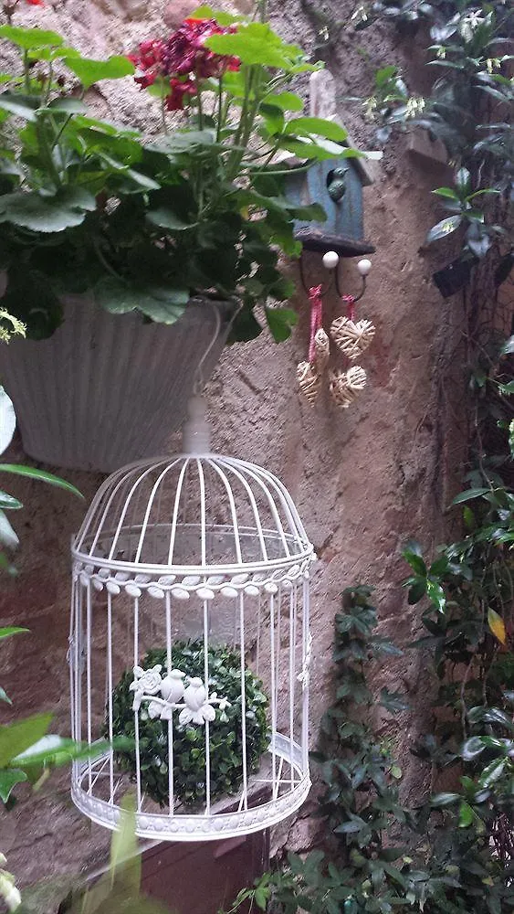 Il Giglio B&B Pienza Bed & Breakfast